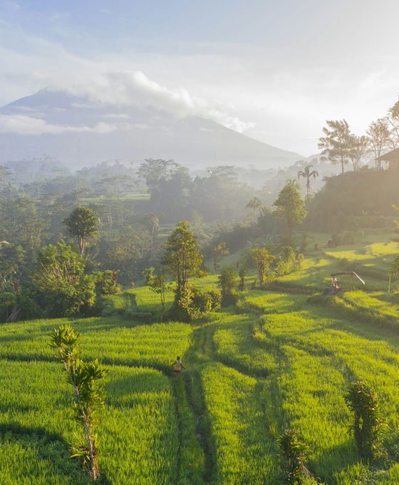 geio-tischler-7hww7t6NLcg-unsplash