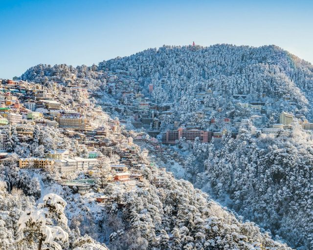 pexels-shalenderkumar-3574440